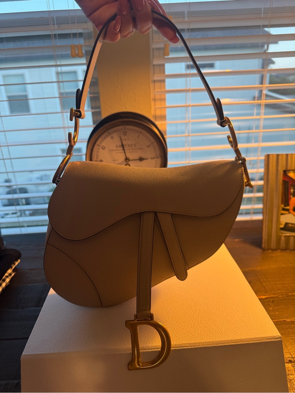 Dior Saddle Bag in Powder Beige with Gold Hardware - Picture 16 of 16